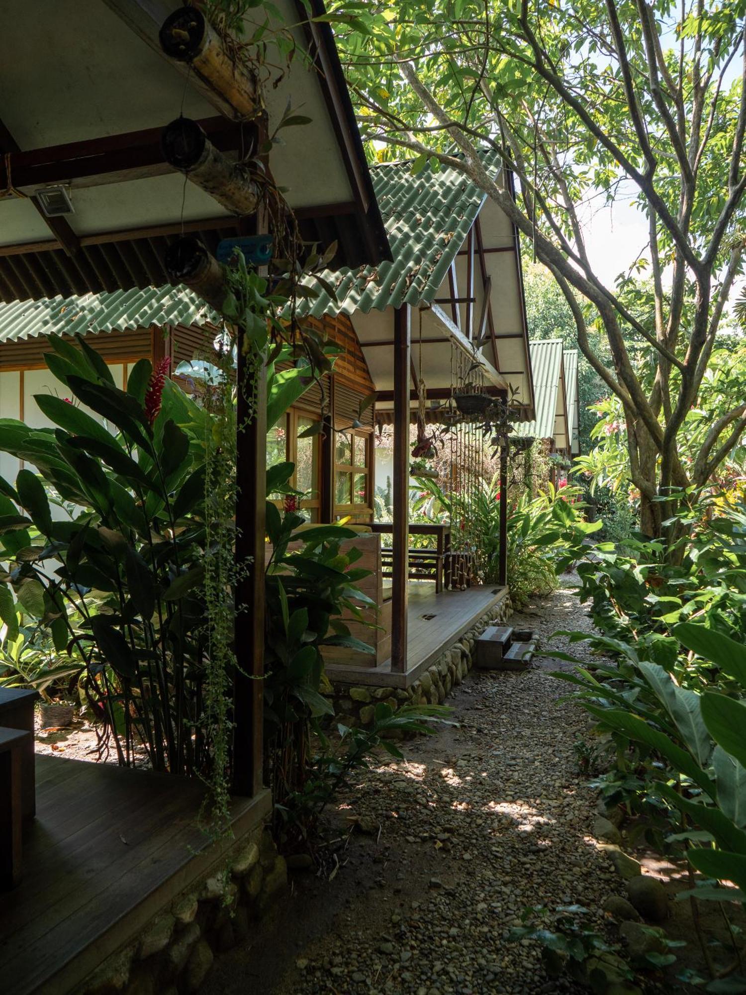 Nuba Boutique Hostel 팔로미노 외부 사진