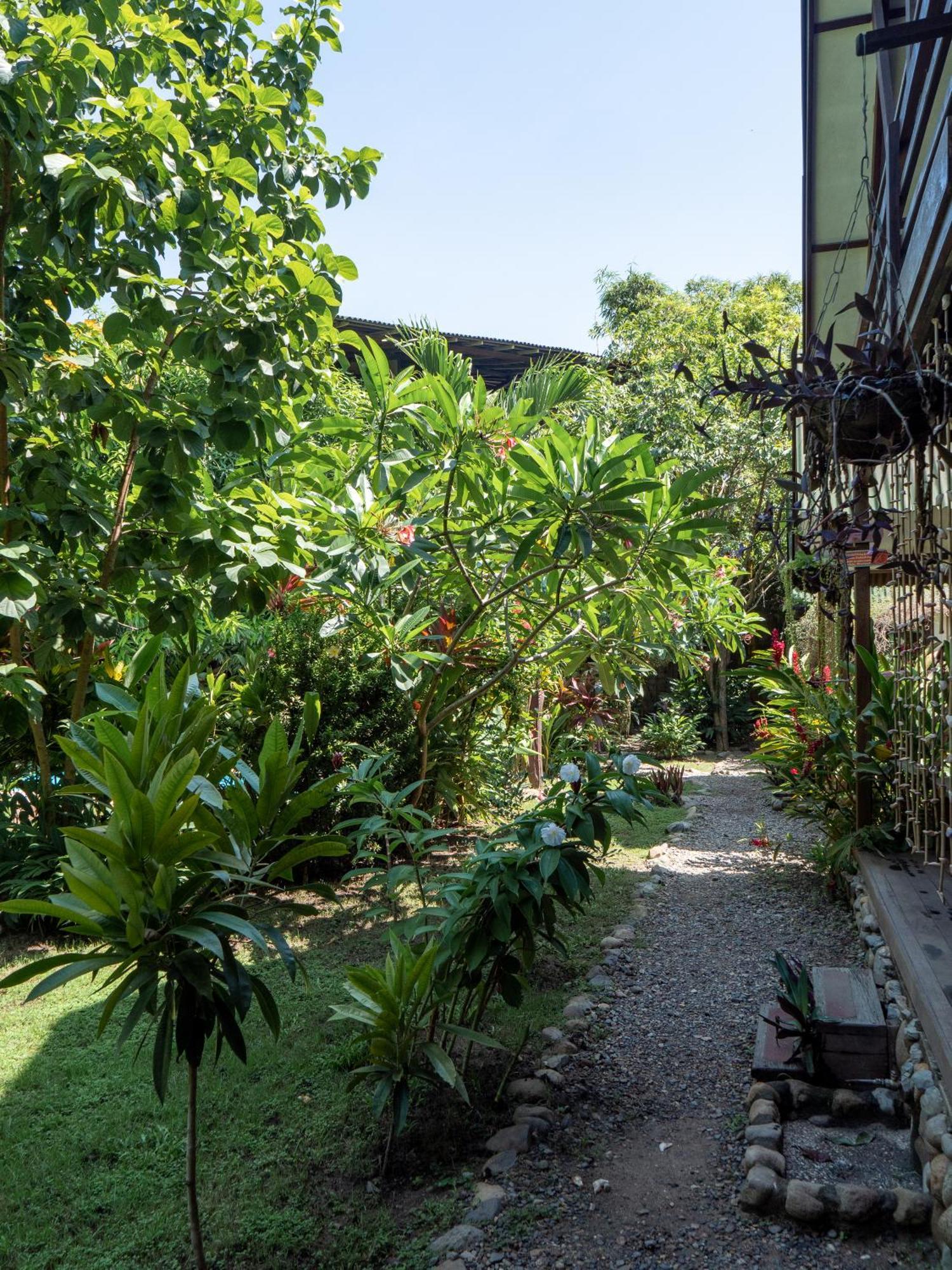 Nuba Boutique Hostel 팔로미노 외부 사진