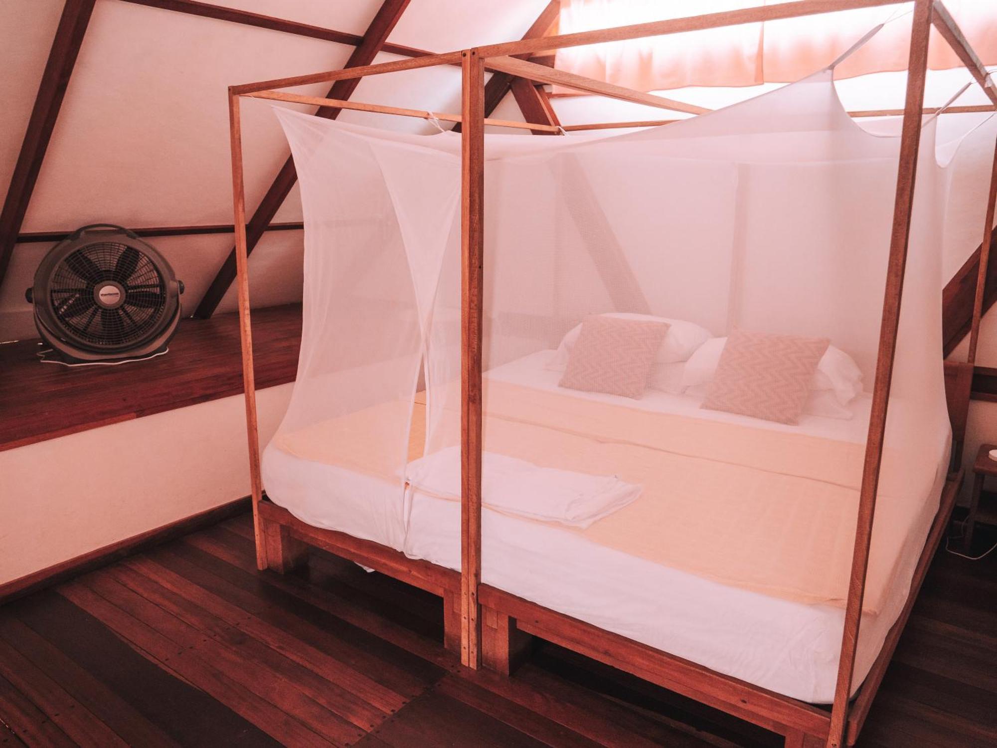 Nuba Boutique Hostel 팔로미노 외부 사진
