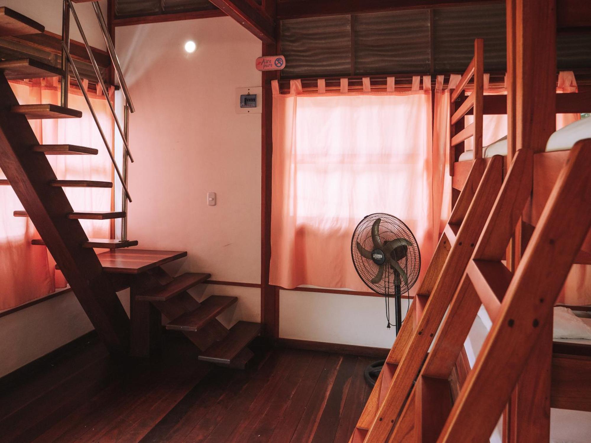 Nuba Boutique Hostel 팔로미노 외부 사진