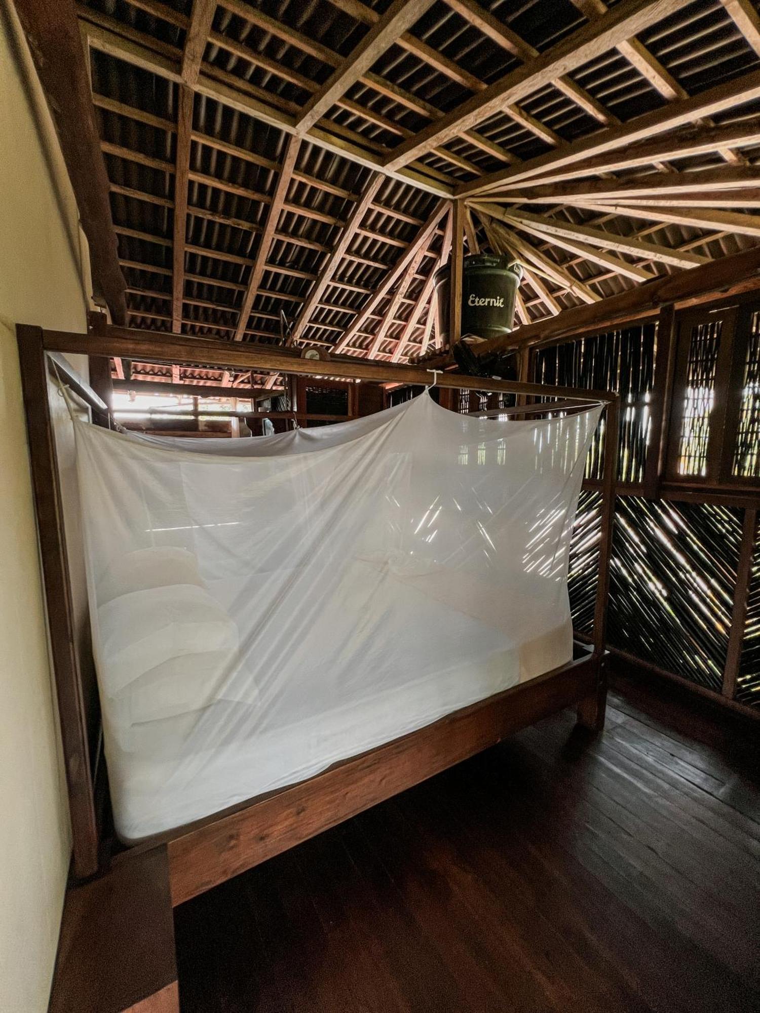 Nuba Boutique Hostel 팔로미노 외부 사진