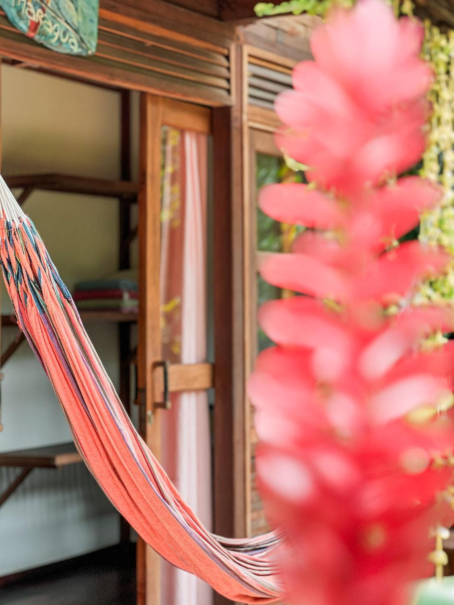 Nuba Boutique Hostel 팔로미노 외부 사진